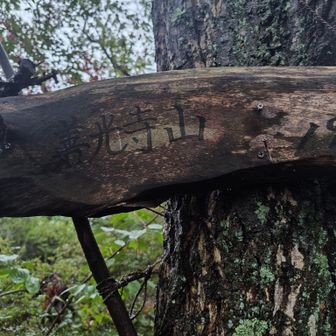 善光寺山登頂