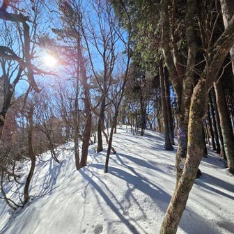 衣掛山に向かう。ヤツの足跡と重なったり離れたり。