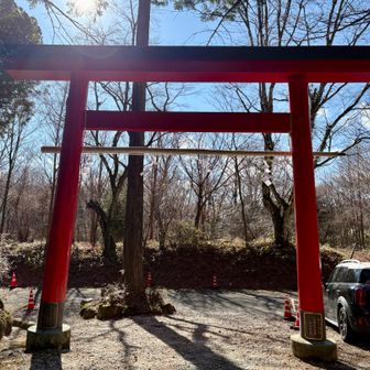 ゴｫ〜ルしました🏁

最後までお付き合い､ありがとうございました。
来年も､どうぞ宜しくお願いいたします｡

おしまい🙌

2025.12  吉日