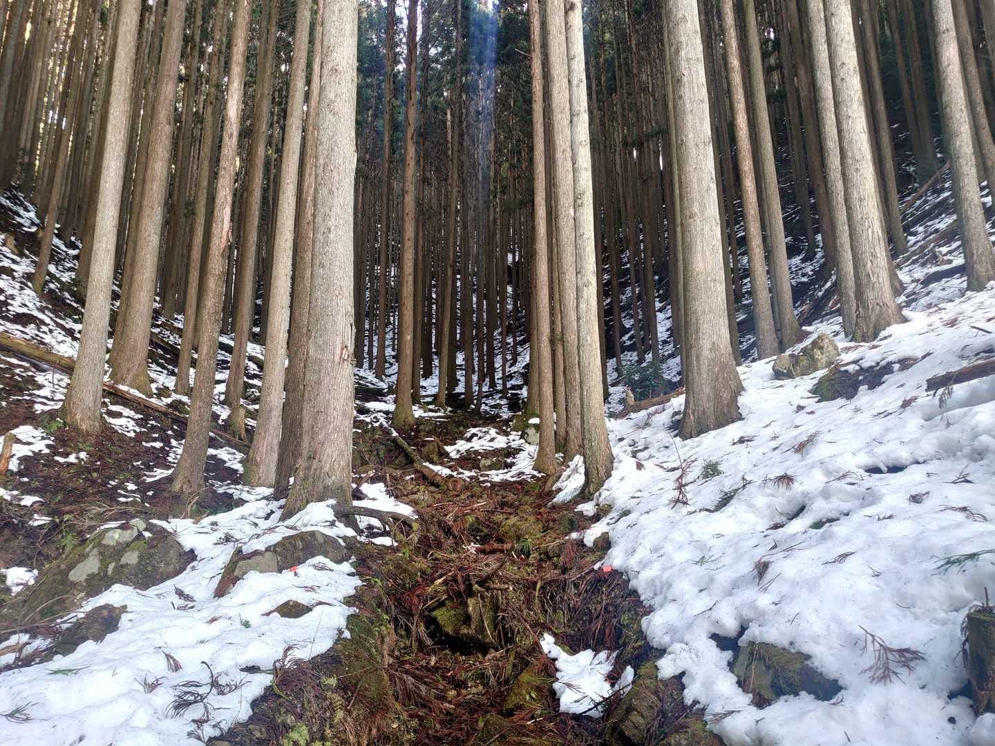 三国峠-三国岳 往復コースの写真