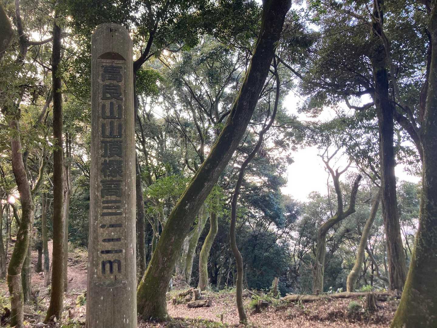 高良山往復 | 季節の草花が彩る高良大社参拝コースの写真