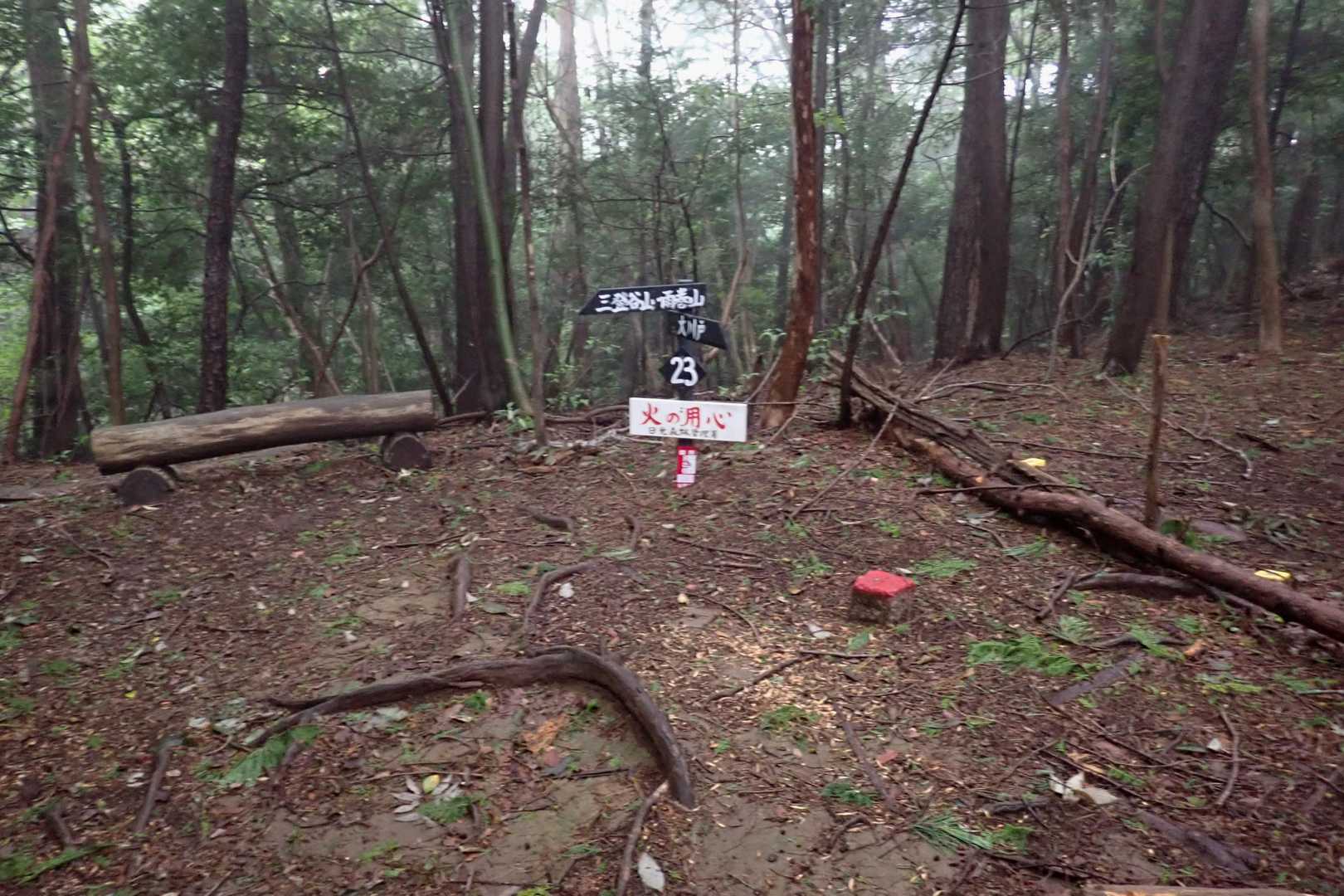 登りきった尾根先🐾
(今日の虫たちはしつこい💢)
