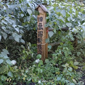 初めて「旧魚沼街道」の文字を見た。