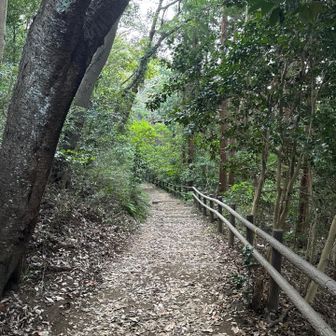いい道。