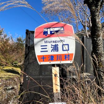 本日のゴール三浦口に到着！
小辺路バスで宿に向かいます