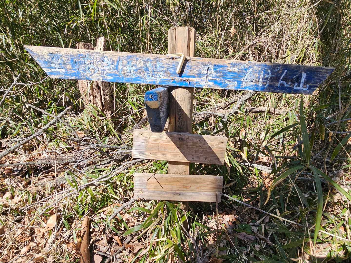 ここが閑居山の山頂？
稜線上にあるので地図を見てないと気づきません😅
しかも支柱と真ん中の板にボールペンで閑居山と書いてあります🤣