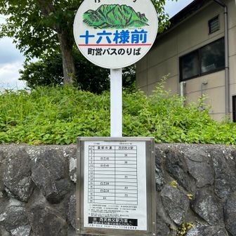 バス停の十六様前に到着。
間に合いました。
10時49分を逃すと詰みます。