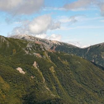 多分薬師岳との事です