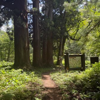 帰ってきました！
