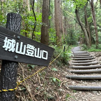 城山登山⛰️🥾今日もスタート▶️