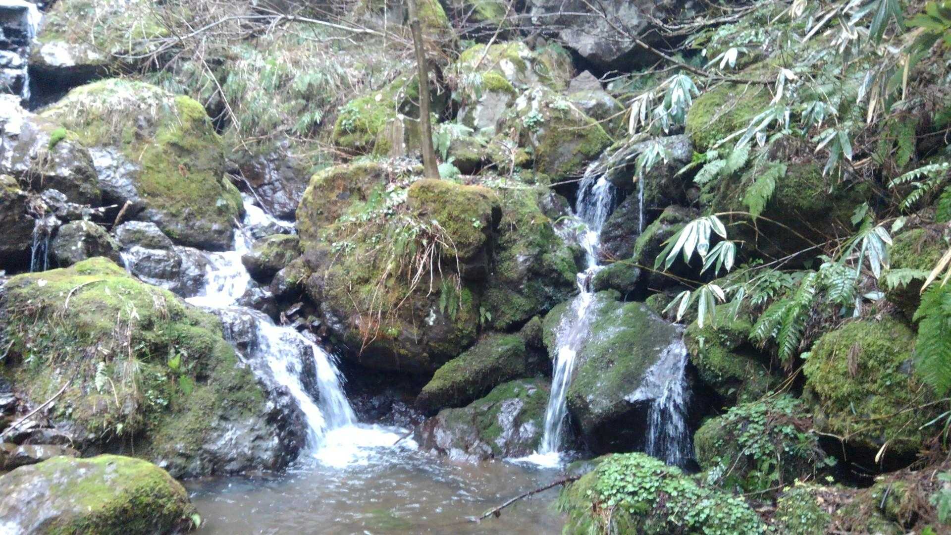 権現山 周回コースの写真