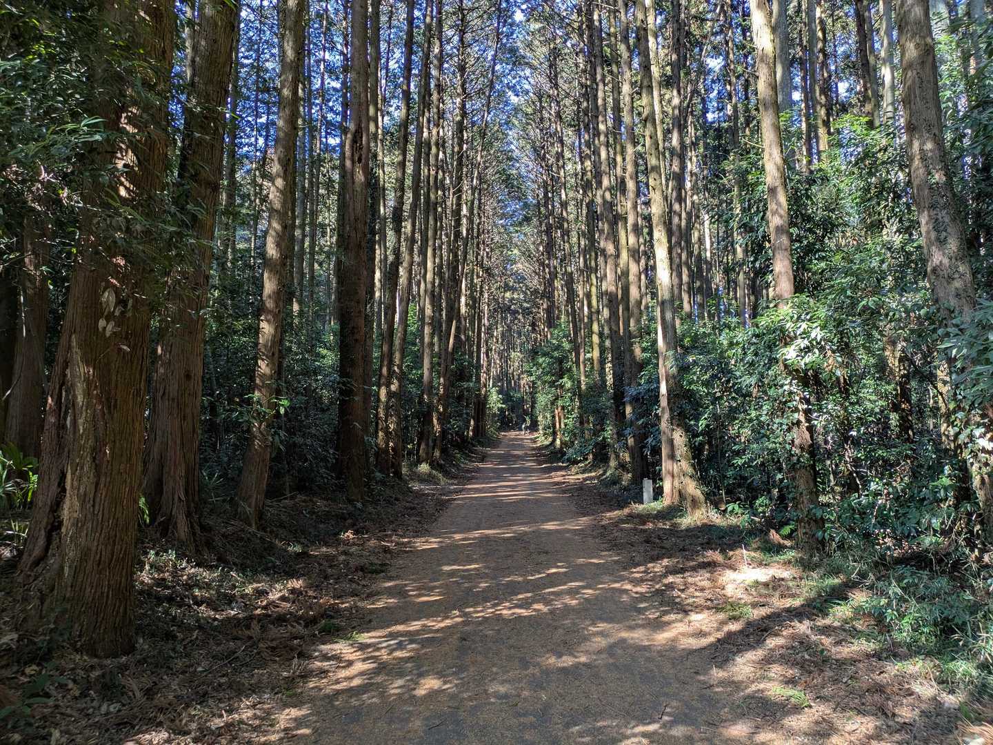 羽黒山参道入口駐車場より