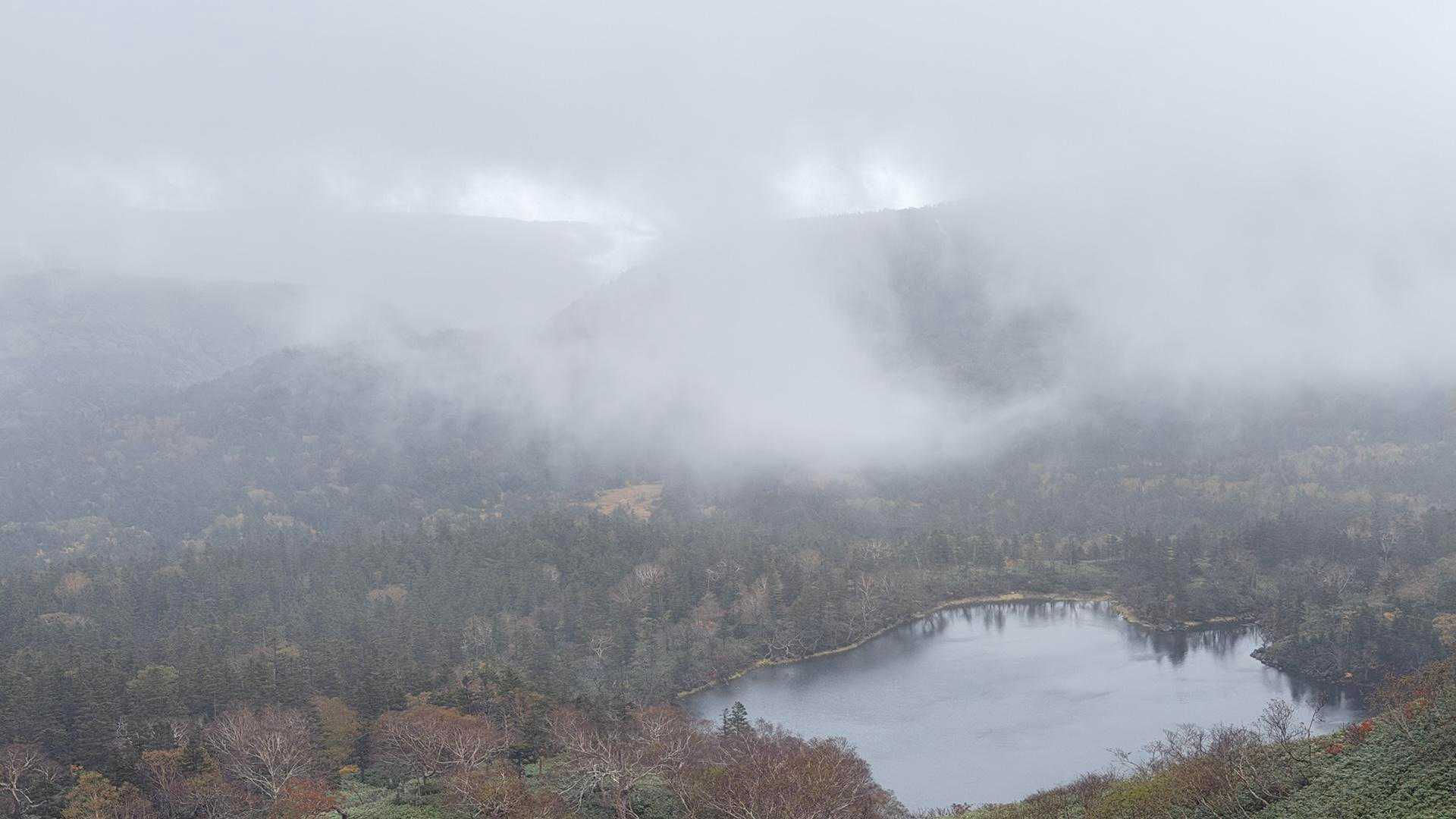 わずかな景色を見ながら歩きます。
