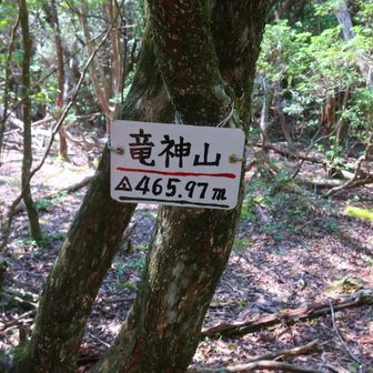 良くある頂上看板