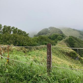 ガスっているが、まだまだ期待大！