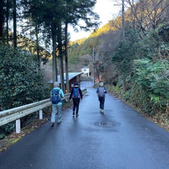 しっとりとした朝