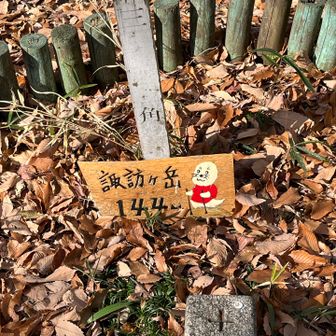 山名表示板と三角点、よし確認👇
次々に来るTOKYOウォークの人たちは、だれも頂上に寄らない
えっ何❗️みんな歩くだけなの⁉️