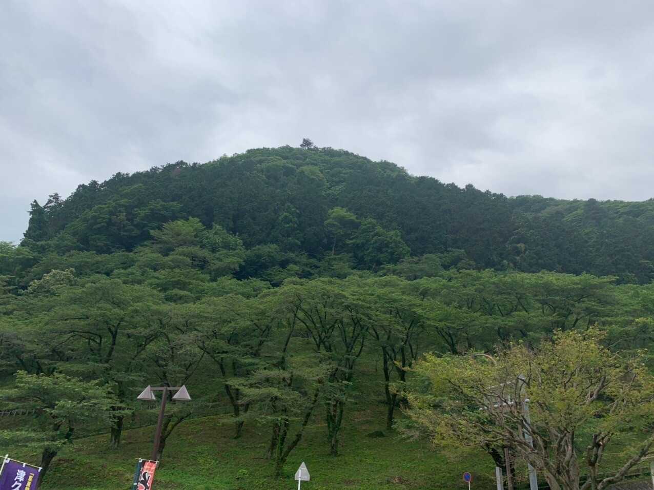 津久井城山の写真