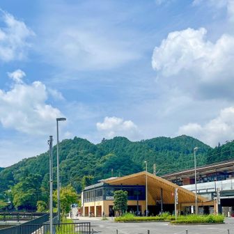 ここからが本題です。
写真は、高尾山口駅です。
またまた遅目に自宅を出て、しっかり渋滞にハマり、こんな時間からスタートです。
今回の目的は、ミヤマウズラの探索と、久しぶりにドボンを満喫する事です。
