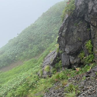 左側の草原にはお花が一杯🌼🌸