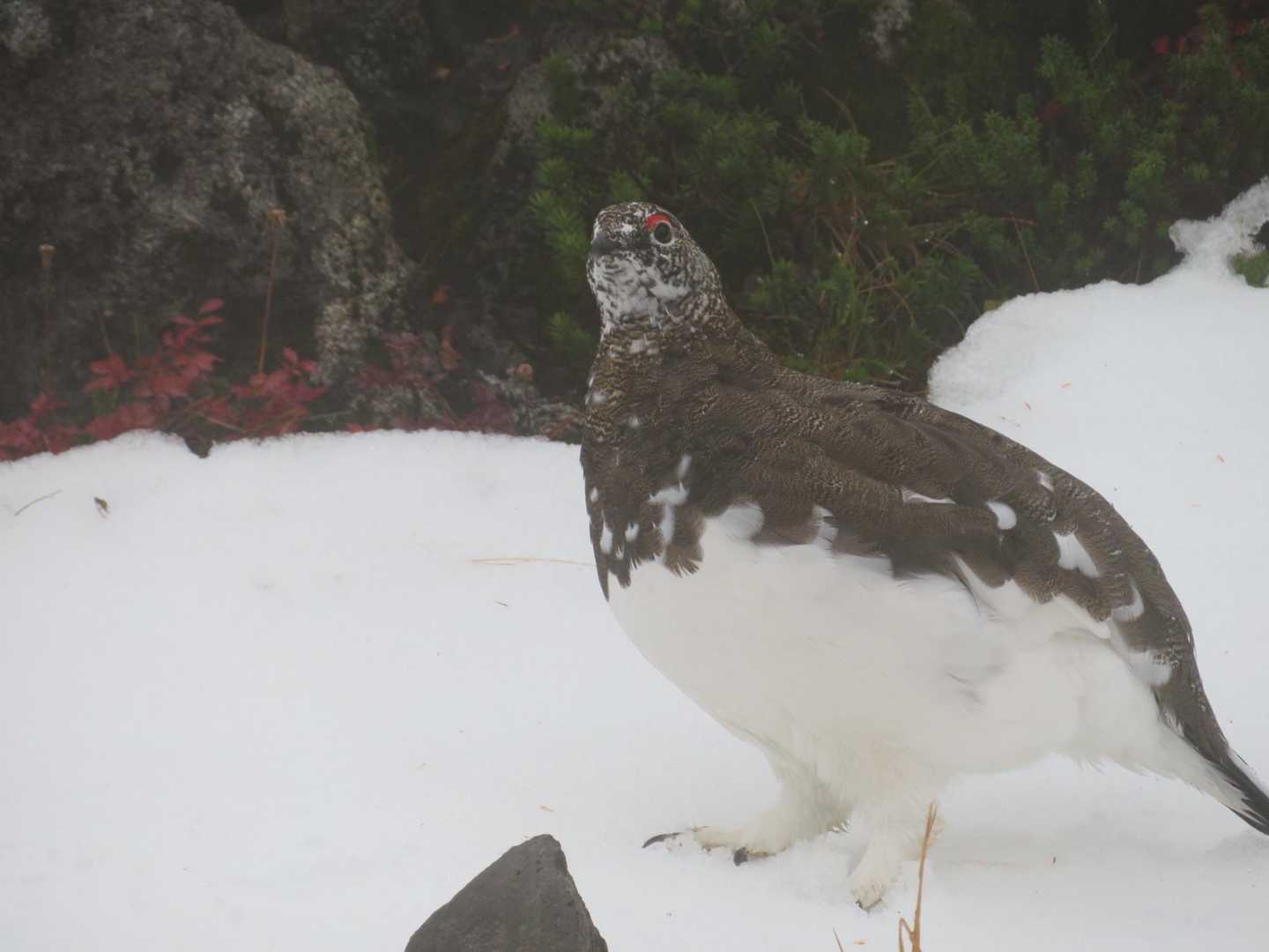 同じ写真ばっかりになっちゃうけど会えてうれしい😆