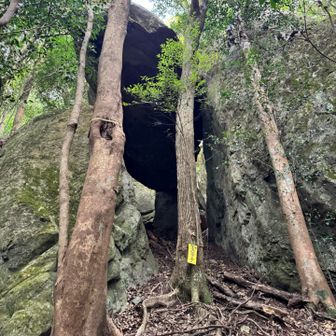 岩の間に落ちそうで落ちない岩があるぞ