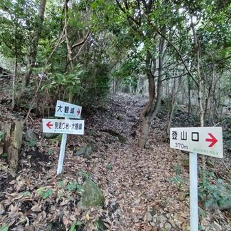 左のコースを