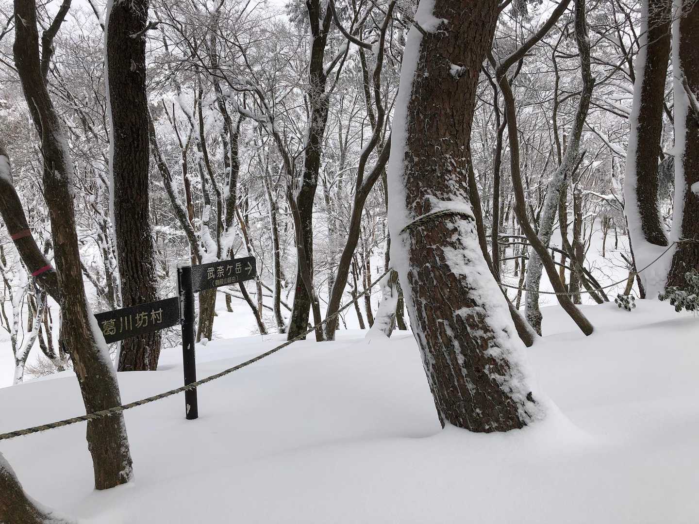 坊村バス停-坊村登山口-御殿山 往復コースの写真