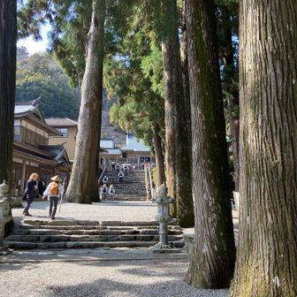 好きな景色です