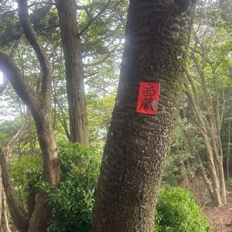 尾根ルートか来た道か？

来た道で戻ります👀