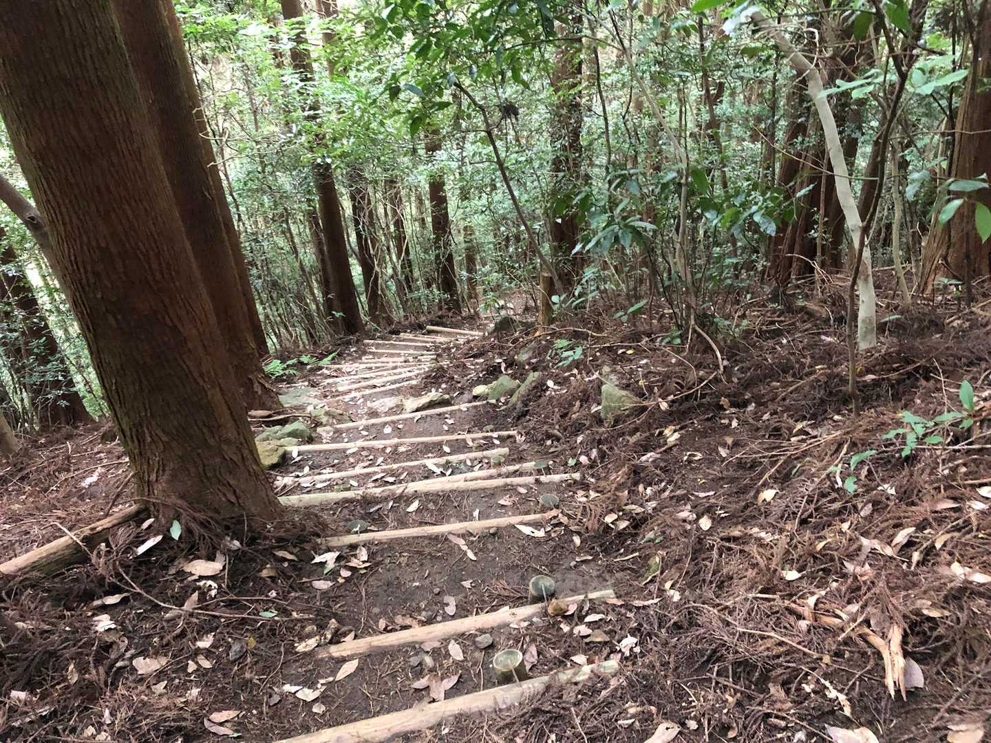 見返りの坂らしい