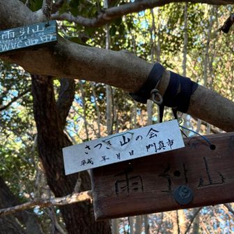 途中のピークにいつもビビるけど、あっという間に山頂⛰️