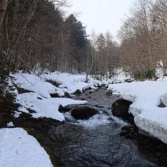 登山口まで雪のないとこもあったり
春が近いですね