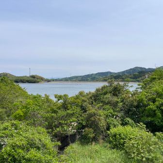 水が満杯でした