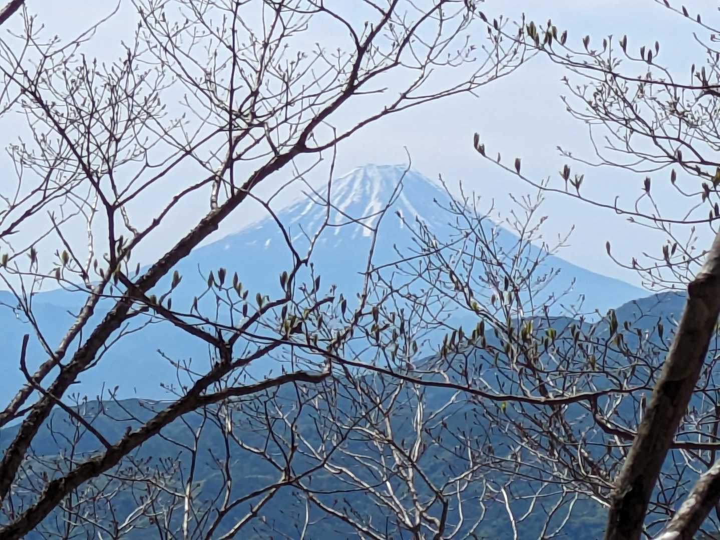 富士