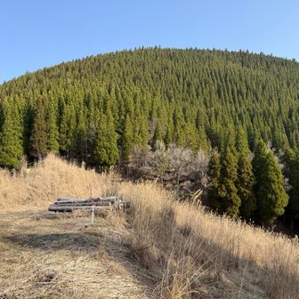 林道を8.5km歩いて矢筈岳登山口。