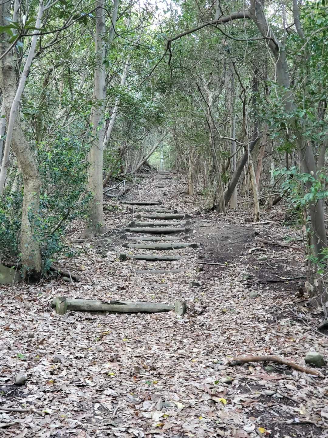 出た～❗長～く続く階段地獄😱