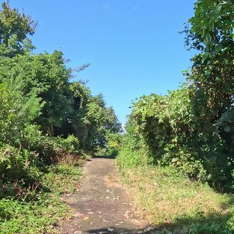 すぐに舗装路となる