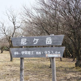 急登やし、道が不明瞭の中
何とか、尼ケ岳に到着
反対側は、抜群の景色を見せてくれます
