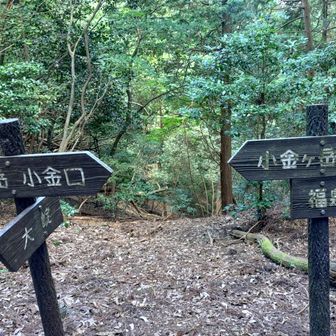 ここまでの道のりピンクリボンよりYAMAP頼りだったような