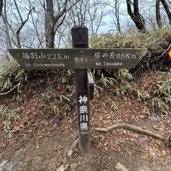 塔ノ岳は春に登ったし、小雪が舞う曇り空だったから、金冷しからは迷いなく大倉登山口に向かって下山。