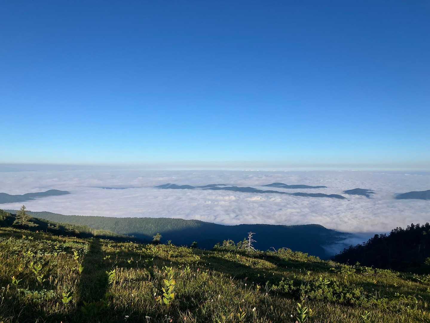 薬師岳登山口-五光岩ベンチ-太郎山-北ノ俣岳-赤木岳-中俣 縦走コースの写真