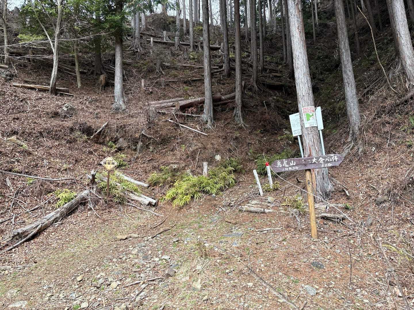 戸川林道に着いた。ここが取り付きです