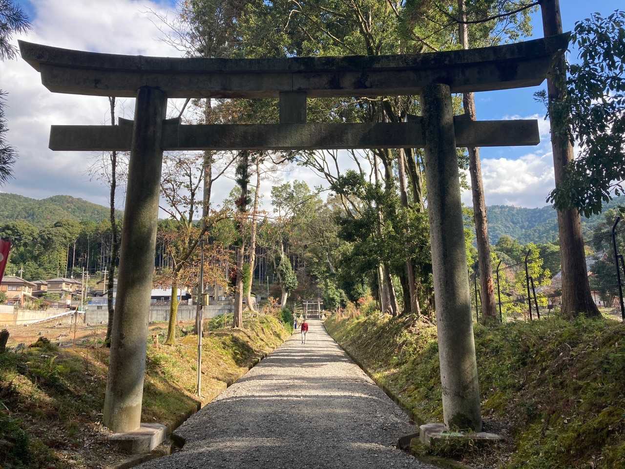 醍醐山-横嶺峠-高塚山 周回コースの写真
