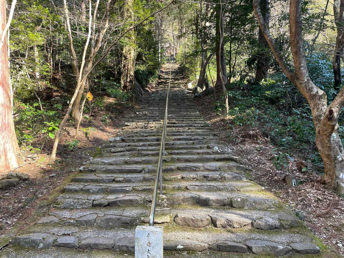 トータル的に見ても、それほどきついって思うところはなかったのですが、いきなりこの階段はきつかったなぁ😱