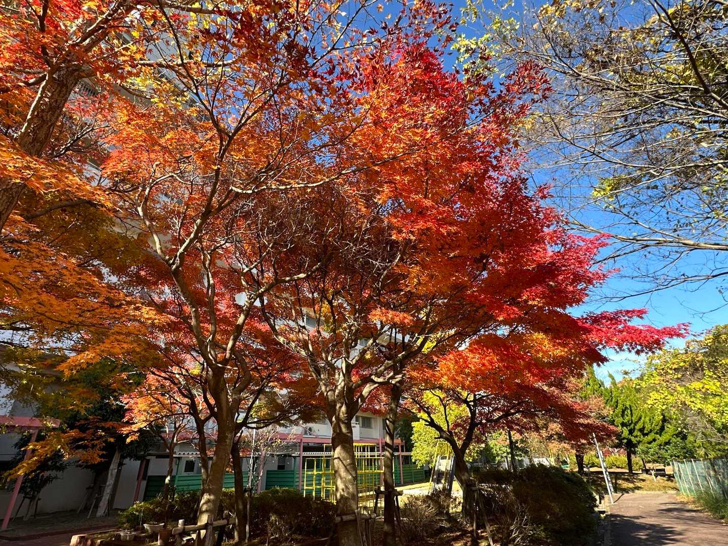 妙法寺駅-高取山 縦走コースの写真