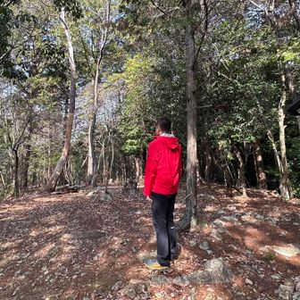 綺麗に手入れされていて愛されているお山と実感中