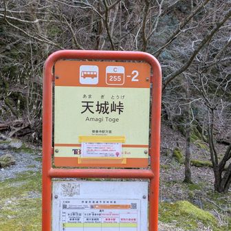 天城峠バス停は降りてきた目の前。