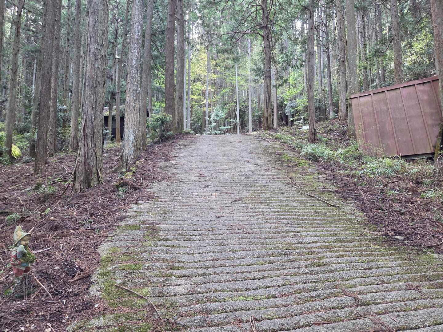 はい！ラスボスの薬王坂を越えるべく登って行きます