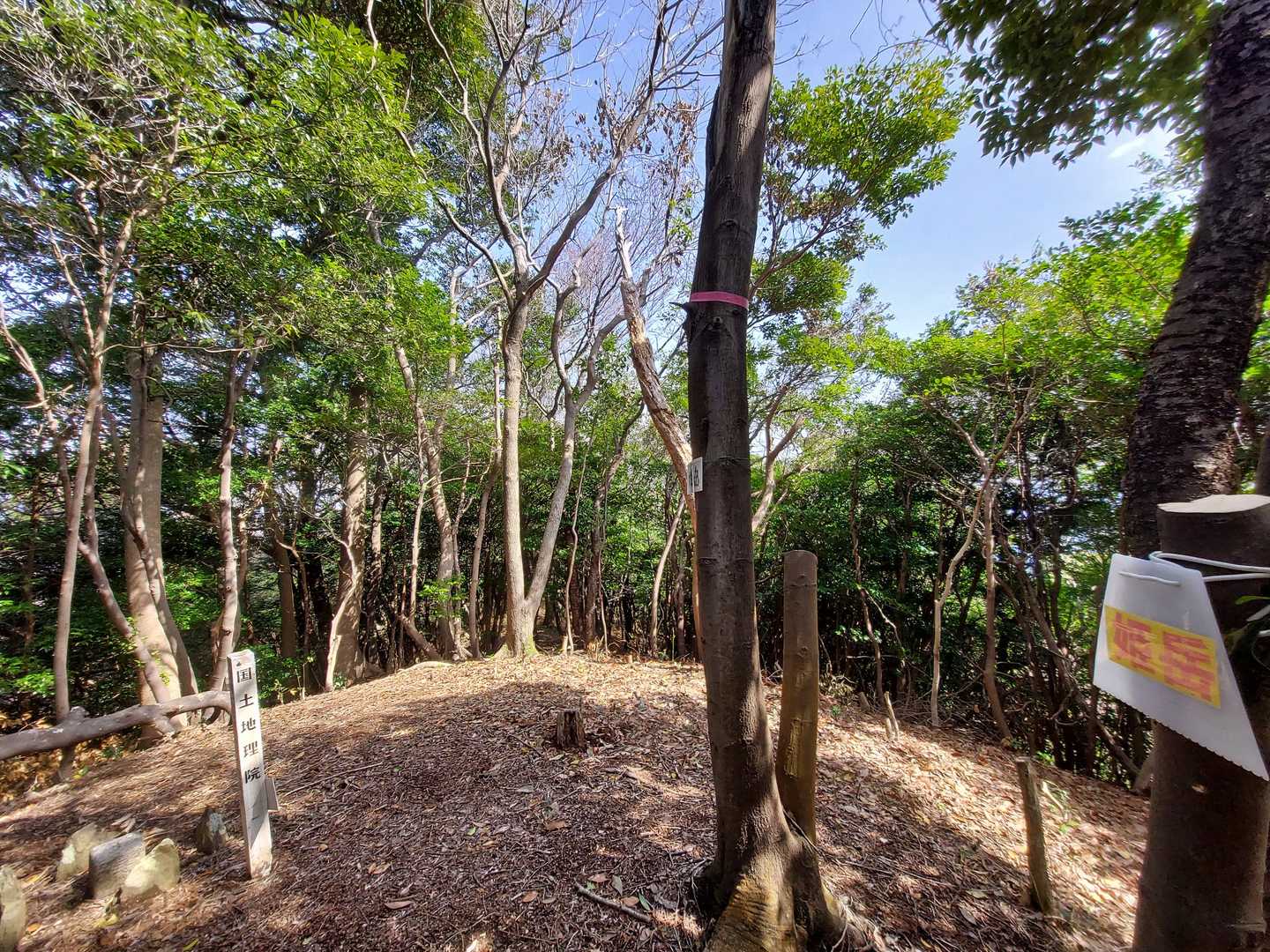 姫岳登頂
眺望なし